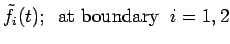 $\displaystyle \tilde{f}_i(t); \;\; \mbox{at boundary }\;i=1,2$